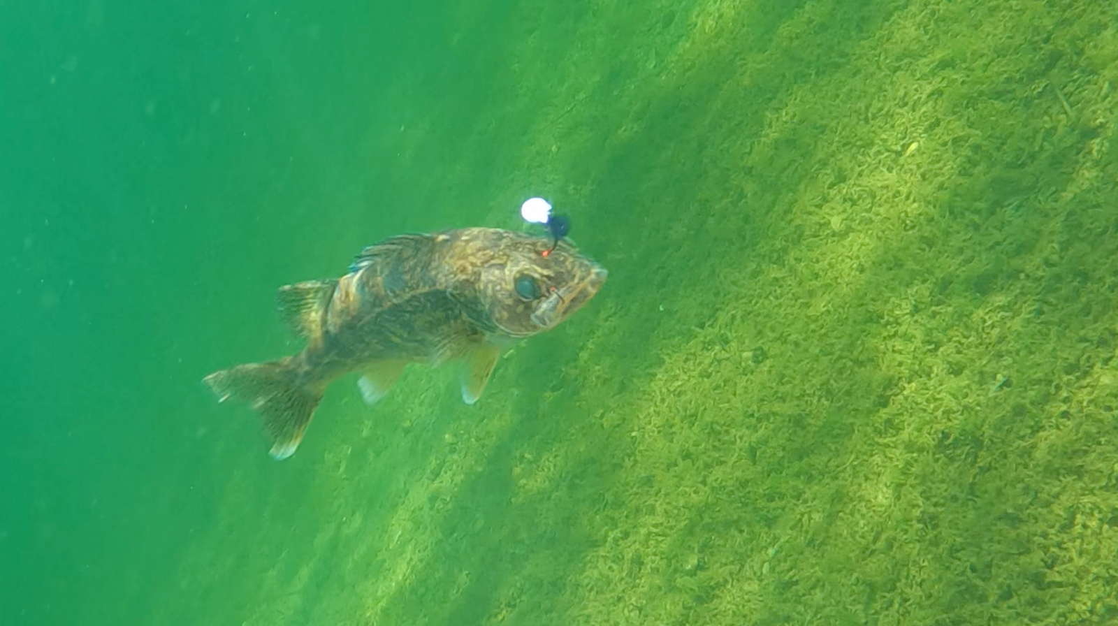 Why are spinners effective?