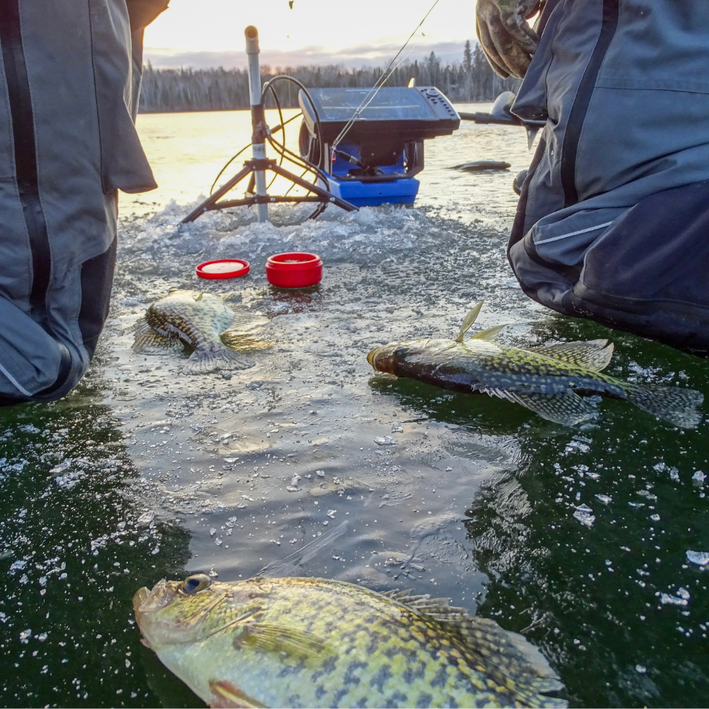 Ice Fishing Tackle
