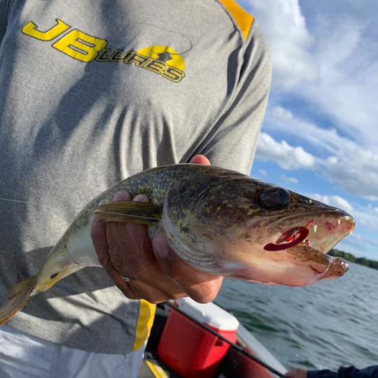 Montana Rig